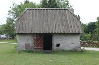 IMG_6151