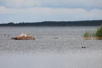 IMG_6183