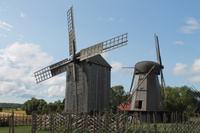 IMG_6224