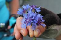 IMG_6262