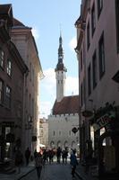IMG_6356