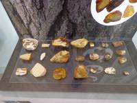 Im Bernstein-Museum