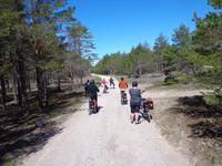 Insel Saaremaa