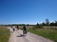 Insel Saaremaa
