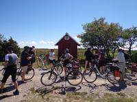 Insel Saaremaa