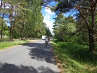 Insel Saaremaa