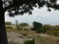 Kuhrische Nehrung Sanddünen 