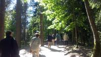 Kurische Nehrung, Jouodkrante, Spaziergang über den Hexenberg