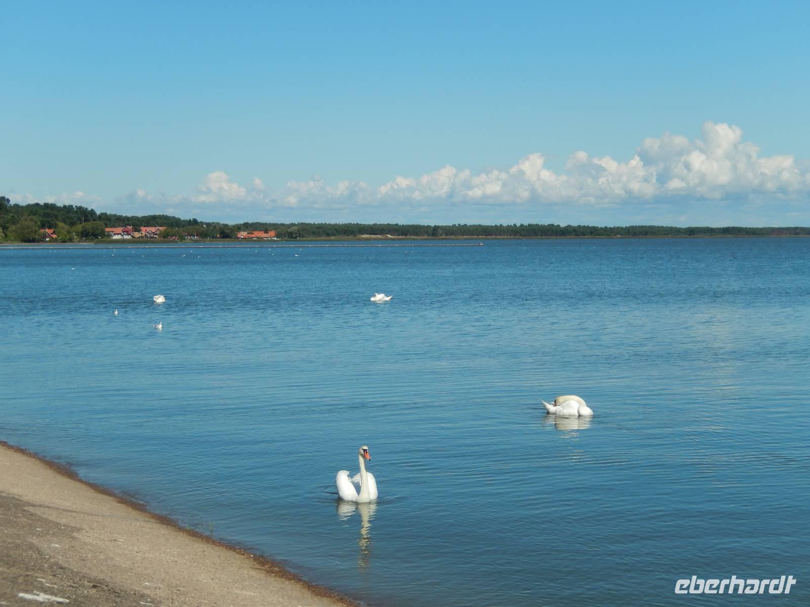 Kurische Nehrung