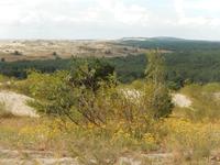 Kurische Nehrung