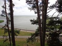 Kurische Nehrung
