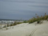 Kurische Nehrung