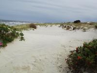 Kurische Nehrung