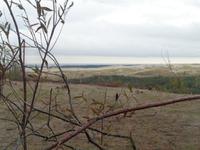 Kurische Nehrung