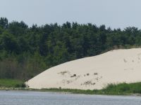 Kurische Nehrung