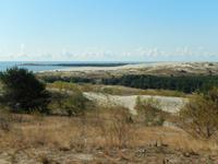 Kurische Nehrung