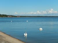 Kurische Nehrung