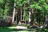 Landmuseum Tallinn