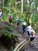 Lettland - Nationalpark Gauja 