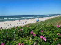 Litauen_Nidden_Ostseestrand