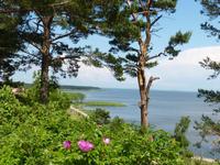 Meeresblick
