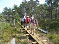 Moorwanderung