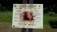 Nationalpark Gauja