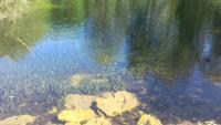 Nationalpark Gauja