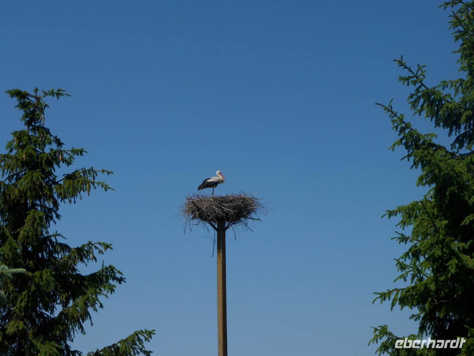 Nationalvogel