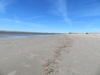 Ostsee bei Pärnu