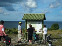 Radtour Saaremaa