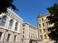 Riga (Katze)