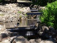 Riga - im Park