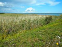 Saaremaa