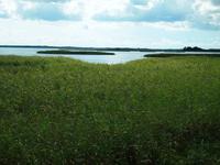 Saaremaa