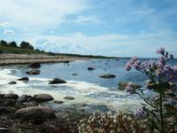 Saaremaa
