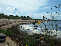 Saaremaa