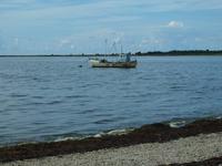 Saaremaa