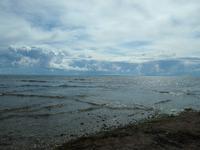 Saaremaa