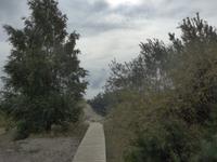 Sanddünen
