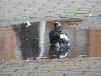 Sommerspaß