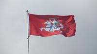 Stadtwappen von Vilnius