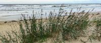 Strand am Rigaischen Meerbusen 
