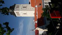 Tallin (12)