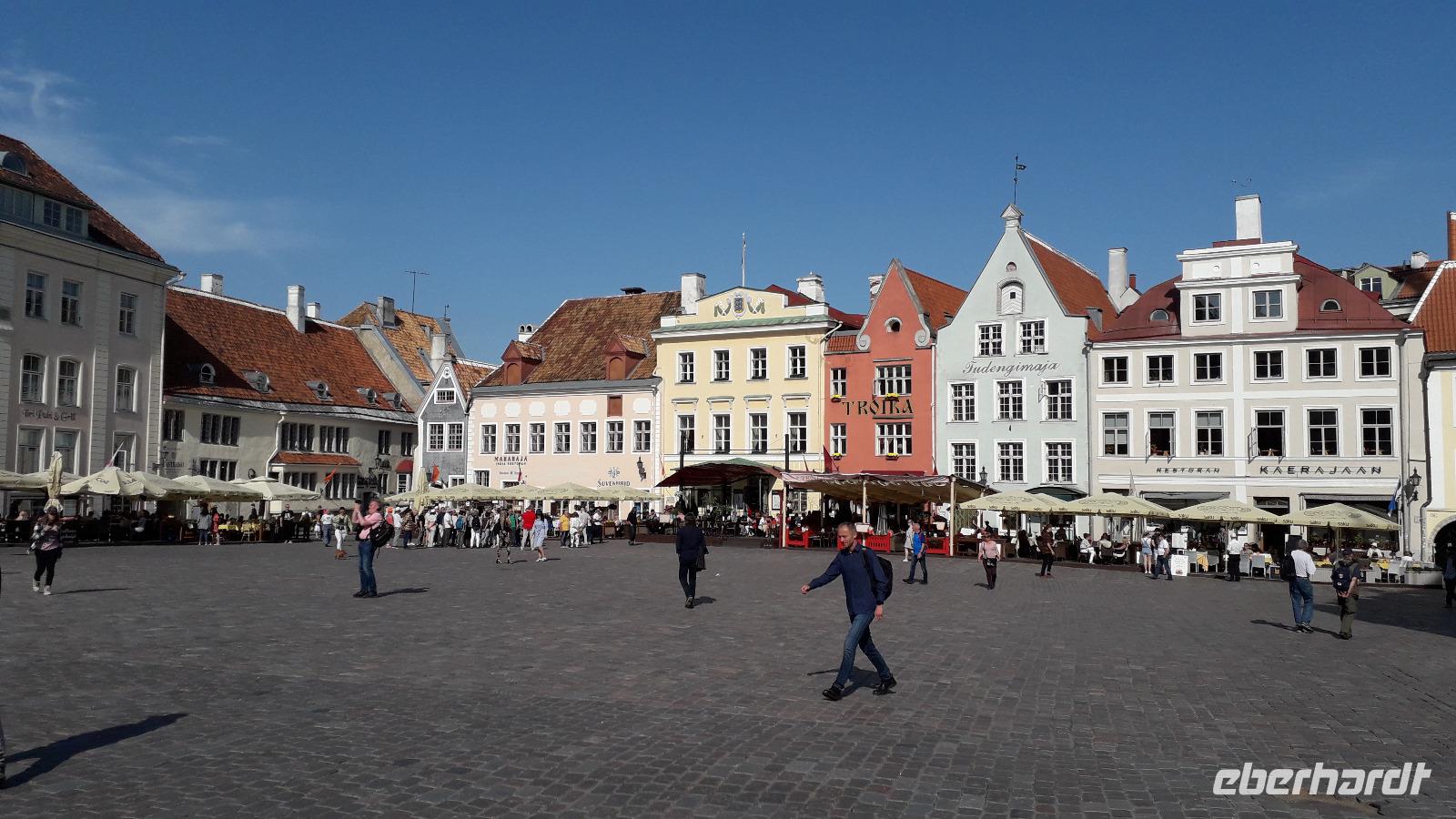 Tallin (13)