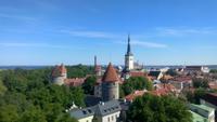 Tallin, Stadtführung auf dem Domberg, Blick auf die Unterstadt