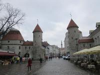 Tallin. Virutor