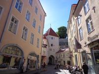 Tallin