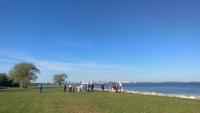 Tallin