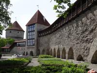 Tallinn - Stadtmauer mit Kiek in de Kök